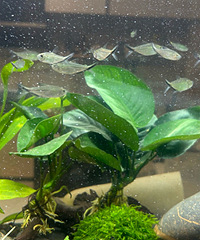 ������������Ϻȫ������