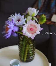 38������ϡ�еİ���˯��