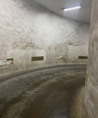 �Ҳ����ţ������죬�����ҵ���������õĳ�����