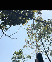 38��162CM��ˮƿ������С������飬ϣ���Է���������