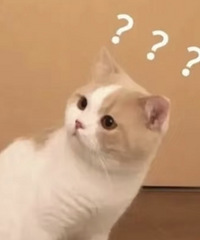 中医让我停止健身,我是健还是不健?真的很不想放弃力量
