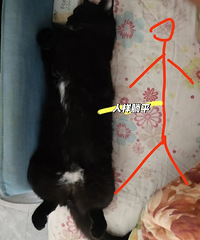 29岁170CM从事机器维修的小哥征婚,爱好健身和练吉他