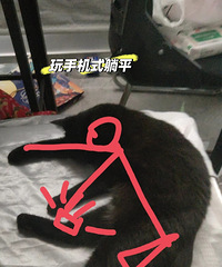 29岁170CM从事机器维修的小哥征婚,爱好健身和练吉他