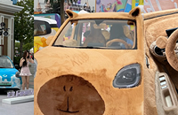 ��Ƥ����Ƥ���ĺ��MINIEV���Ű����У��ù�