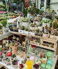 ���ϻ��д򿨣����󵫽���