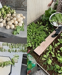 �Լ��ֲ˾��ǰ��ݣ��Բ��껹�����̲�