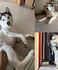 ������ë�󣬿�������ʮ������