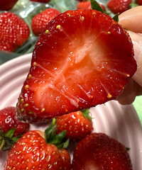 ȥԺݮҾñƷֲݮóԶ