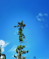 ��ɶ�羰���ʺ�ɹ̫������ȥ�ַ���ĵط���