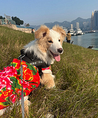 ����18���ȻԽ��Խ�ÿ�