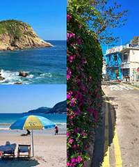 �����һ��Ҫȥ�����ɫ�ĺ���С��