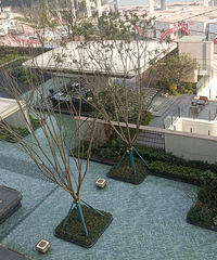 �÷������������ɳ��˳�һ��143ƽ������������