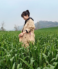 ����ů���紵���ˣ���С���Ѻͺ�����һ��̤��