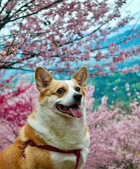 ���յ�ӣ����С�»�����Ŷ