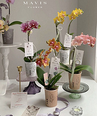 �����������������������