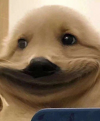 ���׷��̴������׷����������ʱ��̴����ߣ�