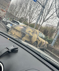 ����ʲô��������ά�����³��ĳ���