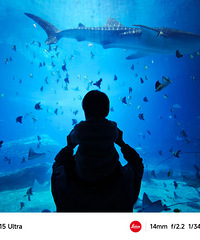 С15ultraЧˣҲ̫˰ɣ