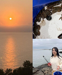 6天自驾小众海滨小镇,承包一片海滩