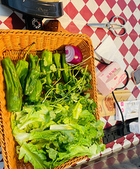 �귫�����������ֳ���ʳ̯�������ɣ���ϲ��