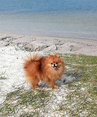 �����е�һ�ο������ĵ���