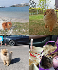 �Լ�ȥ���ϣ������е�һ�ο������ĵ���