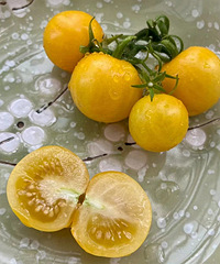 �ڼ�Ҳ���ֳ���˿ȸС����