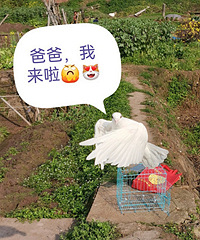 ˵˵�������ѵ�����ӵ�