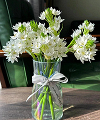 ��ȸ÷����ֵ������~