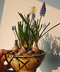 ��������ѷ����ӿ�����