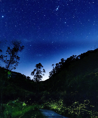 ����2���Լݵ���������С���飬�����������̽��ʵ��ө��֮ɭ