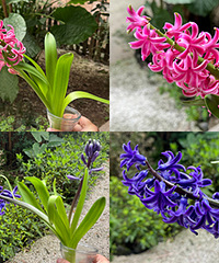 �������ķ����ӿ��ˣ������������