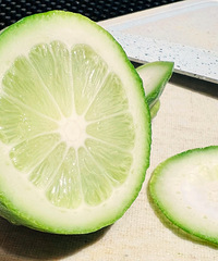 �紺����������Ų�ס