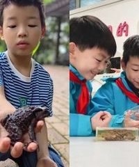 ��ɿ�����9�������������ˡ�