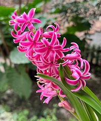 ���ѷ����ӿ������������