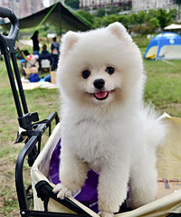 Ѱ����ʾ���ҵ��к����л