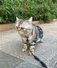 Сè���ǳ���ɢ���ĺô���