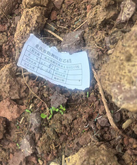 ΢��԰�����á�L51ѧУ����