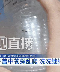 蜜雪冰城,被立案调查!