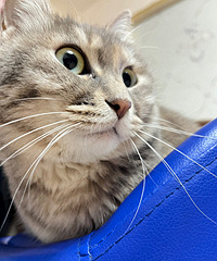 è��������˿������¼Ƭ