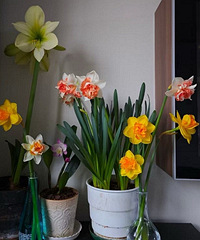 ��������ˮ�ɺ�����֮��