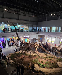 �Թ����ƻ���ˮ��