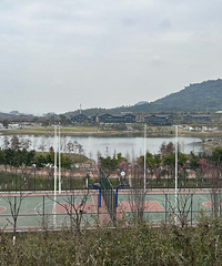 ȥ���˽����ܺ��ϵķ��ӣ���������Щ������