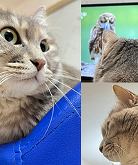 è���Ͽ������¼Ƭ��������ѧ������