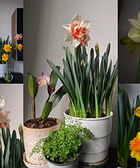 ����������ˮ�ɺ��춥�죬���úü���