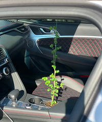 ����Ҳ���������ݲ��ˣ�һ��̫�������ֱ����һ������