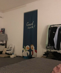 �����ŵ������