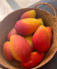 ޵кóԵĹâƤֽ޶֭һͻ