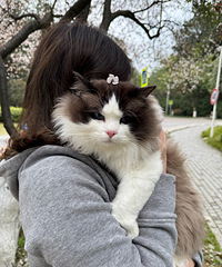 æ��͵�д���è��ȥ������