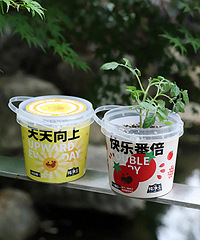 �������տ���ֲ��16һ��